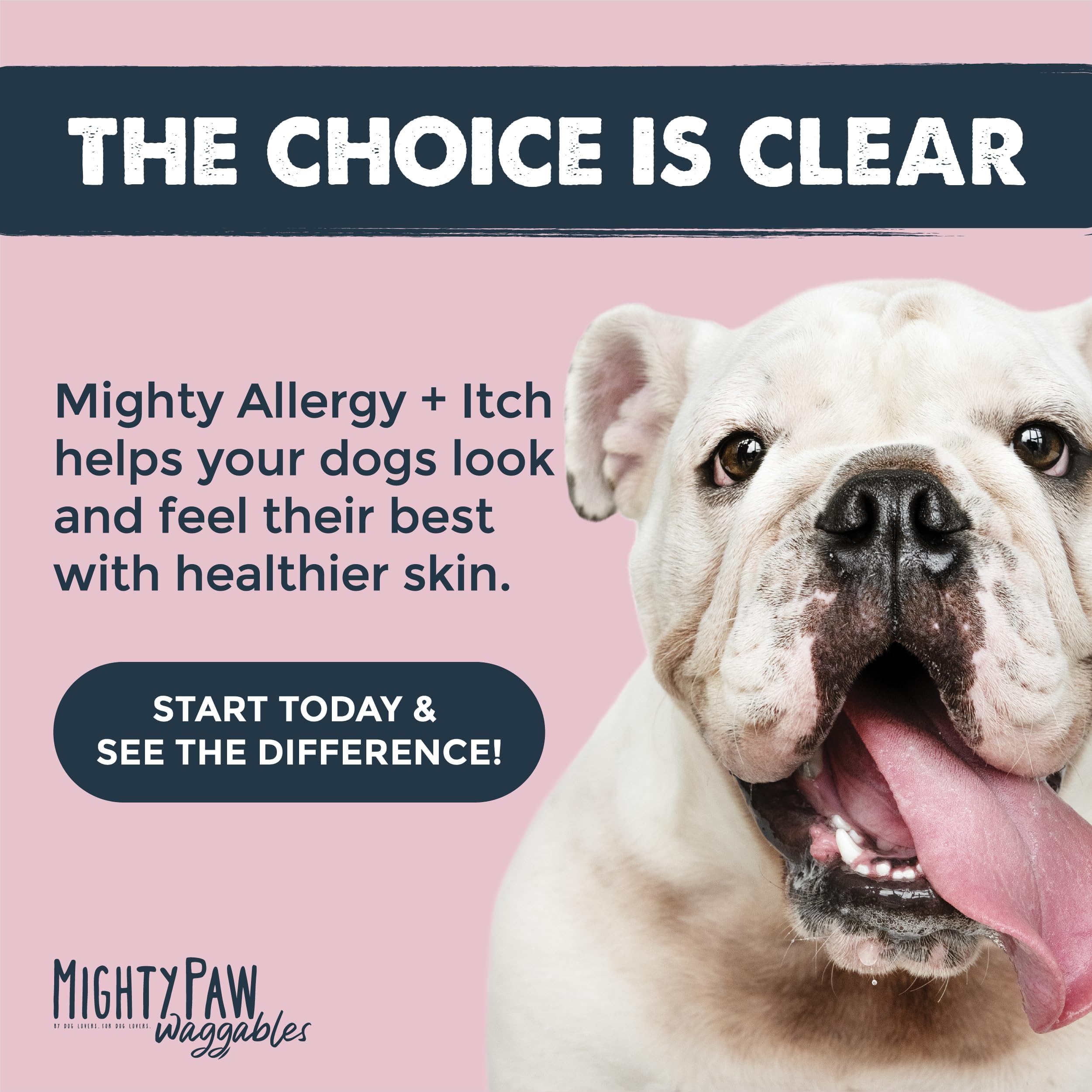 Mighty Paw Waggables Rochester NY facility label showing US craftsmanship and quality