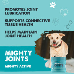 Close-up of Mighty Paw Waggables chews with bacon flavor appeal.