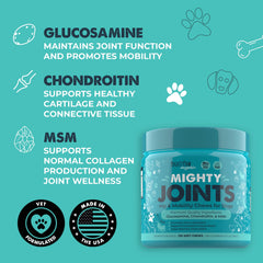 Dog in motion with Mighty Paw Waggables supports active outdoor play.