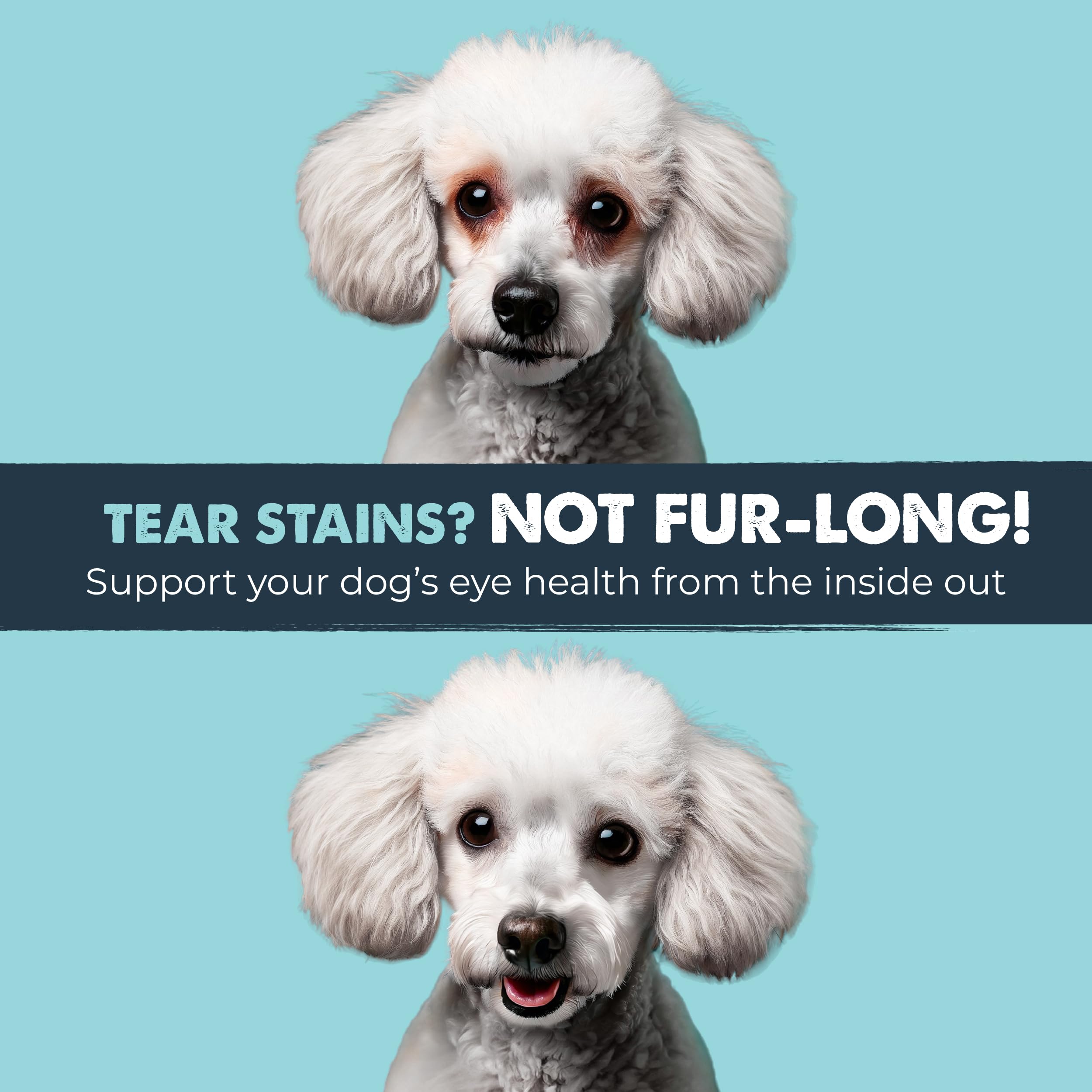 Mighty Paw Waggables Eyes bacon-flavored chews illustrate great palatability for dogs