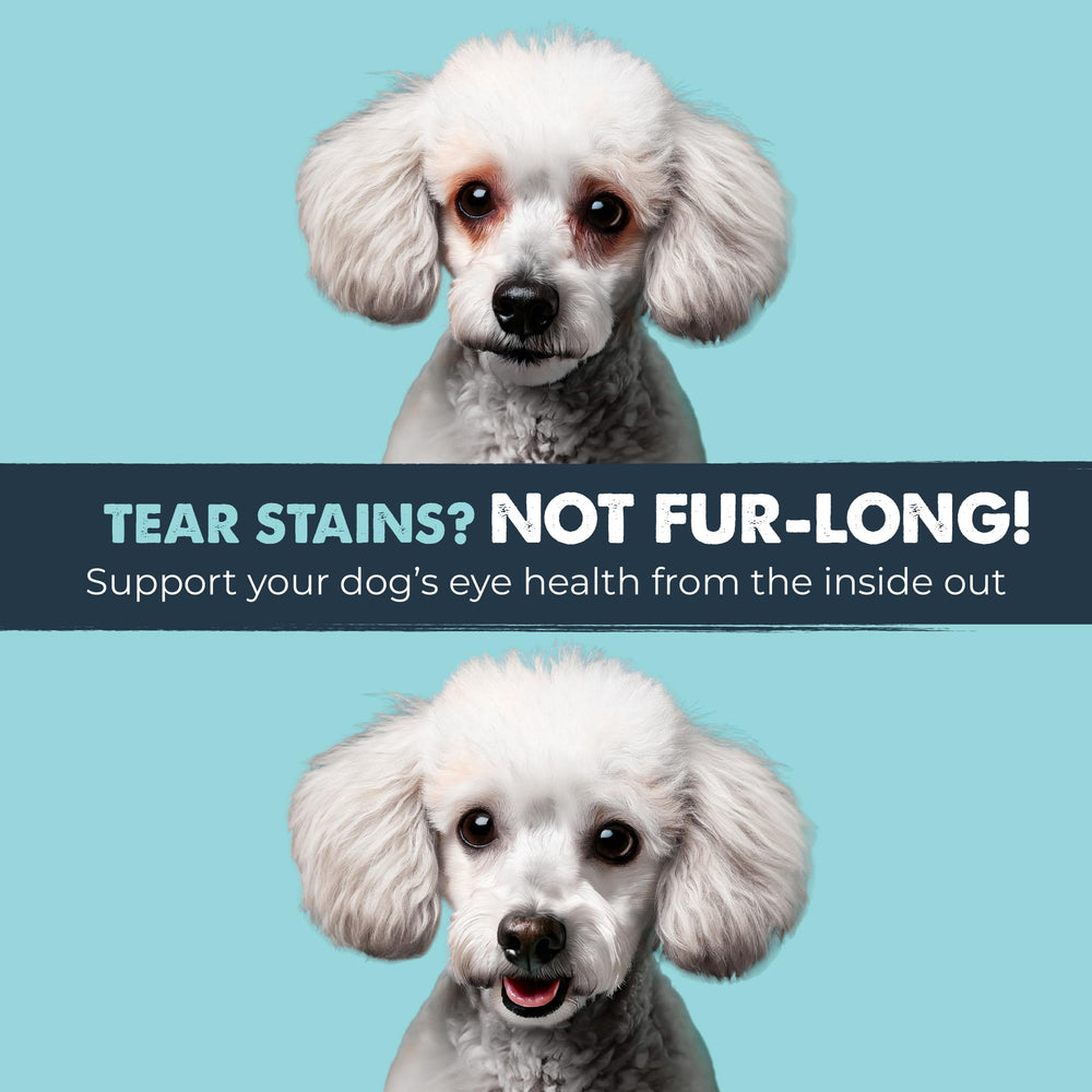 Mighty Paw Waggables Eyes bacon-flavored chews illustrate great palatability for dogs