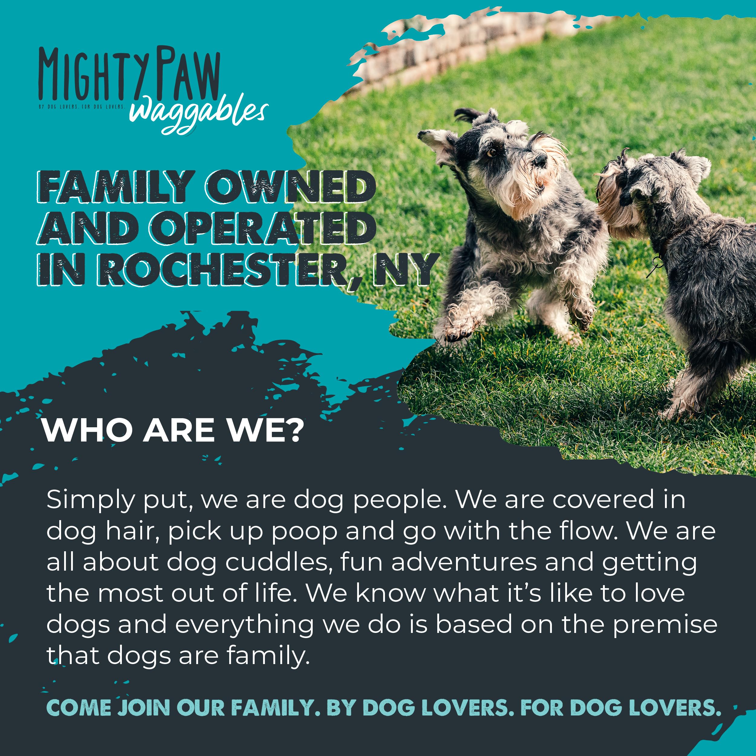 Mighty Paw Waggables proudly made in USA in Rochester, NY.