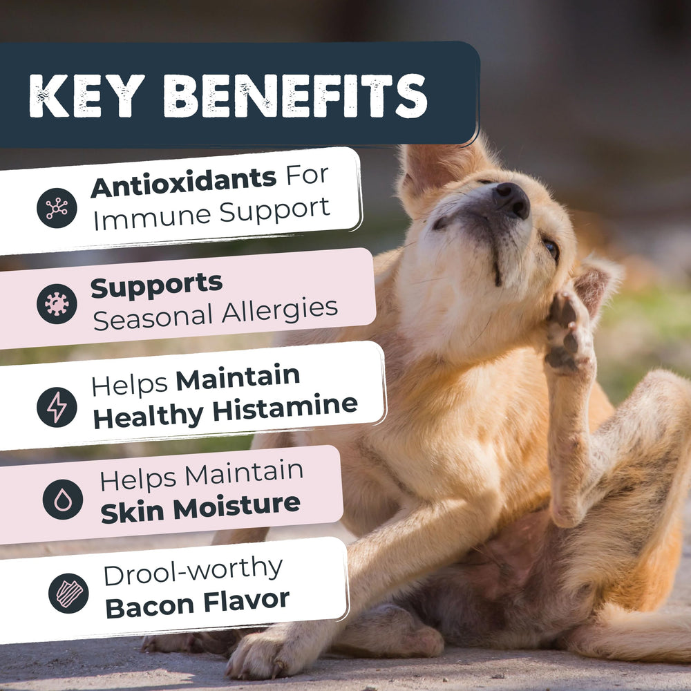 Mighty Paw Waggables omega-3-quercetin-ingredients highlights immune support
