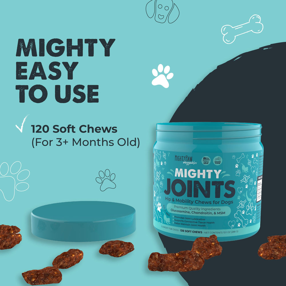 Dog owner and dog enjoying outdoor play with product in view.