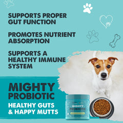 Mighty Paw Waggables dog enjoying bacon-flavored chew for tasty digestive wellness.