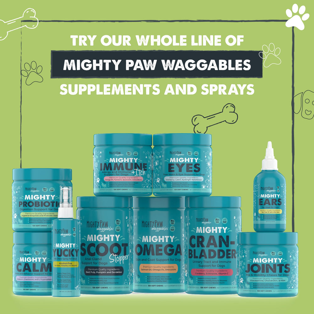 Family-owned Mighty Paw branding reinforces trusted, pet-parent centered care.