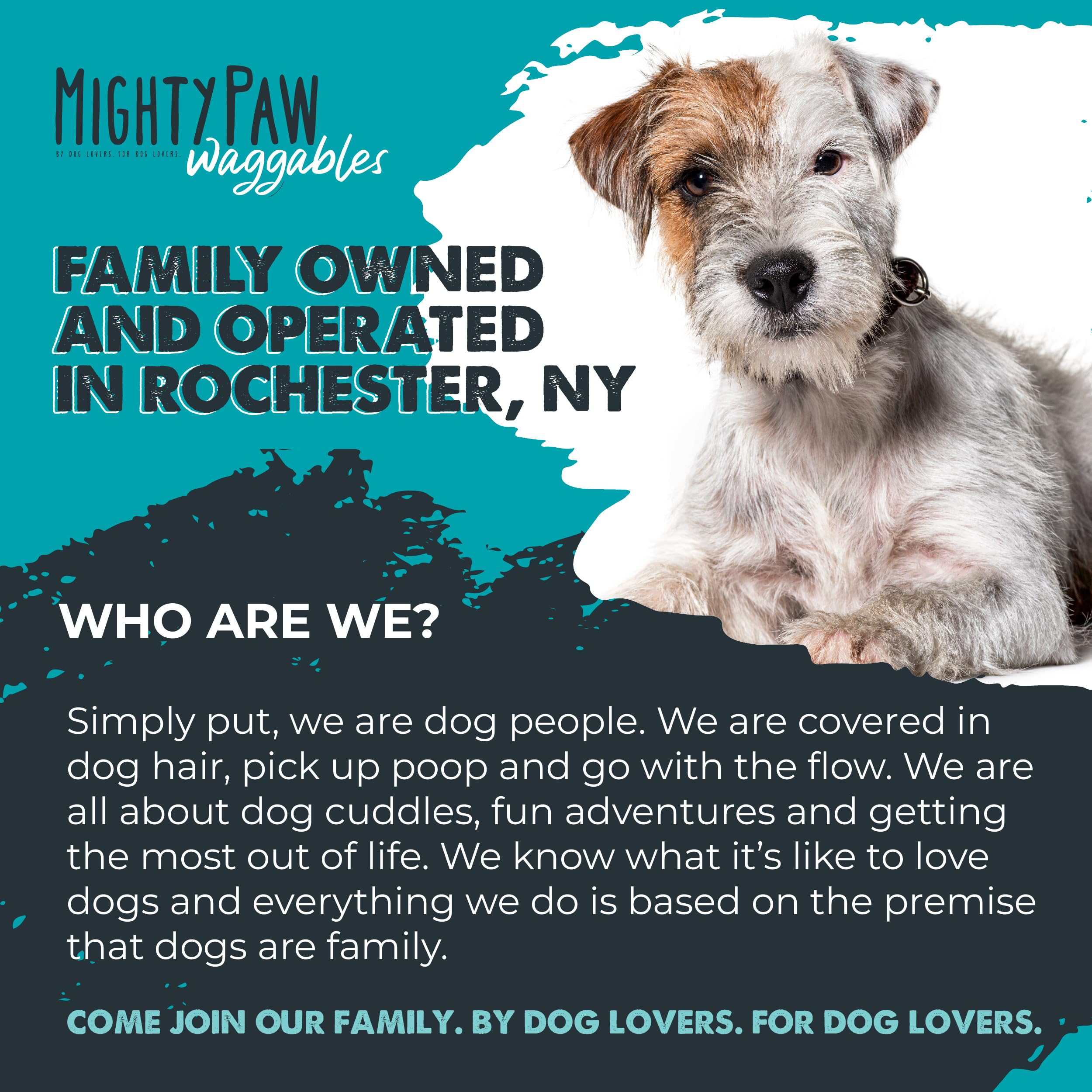 Vet-formulated Mighty Paw Waggables signals professional backing for canine digestive health.