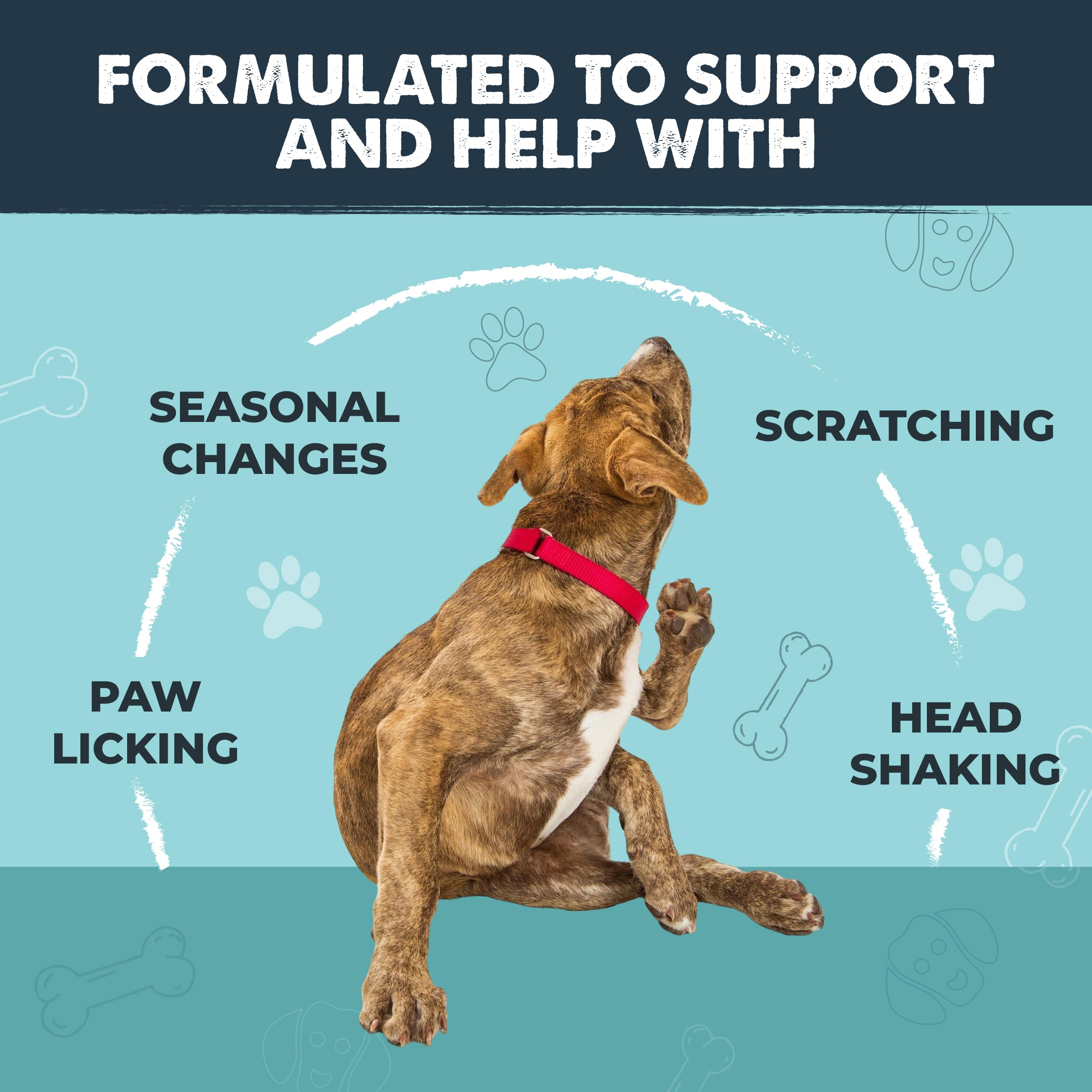 Mighty Paw Waggables skin-coat-support close-up shows healthier coat