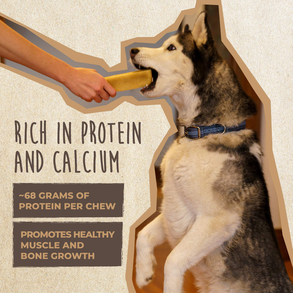 Mighty Paw yak-cheese-chews grain-free and gluten-free seal on bag.