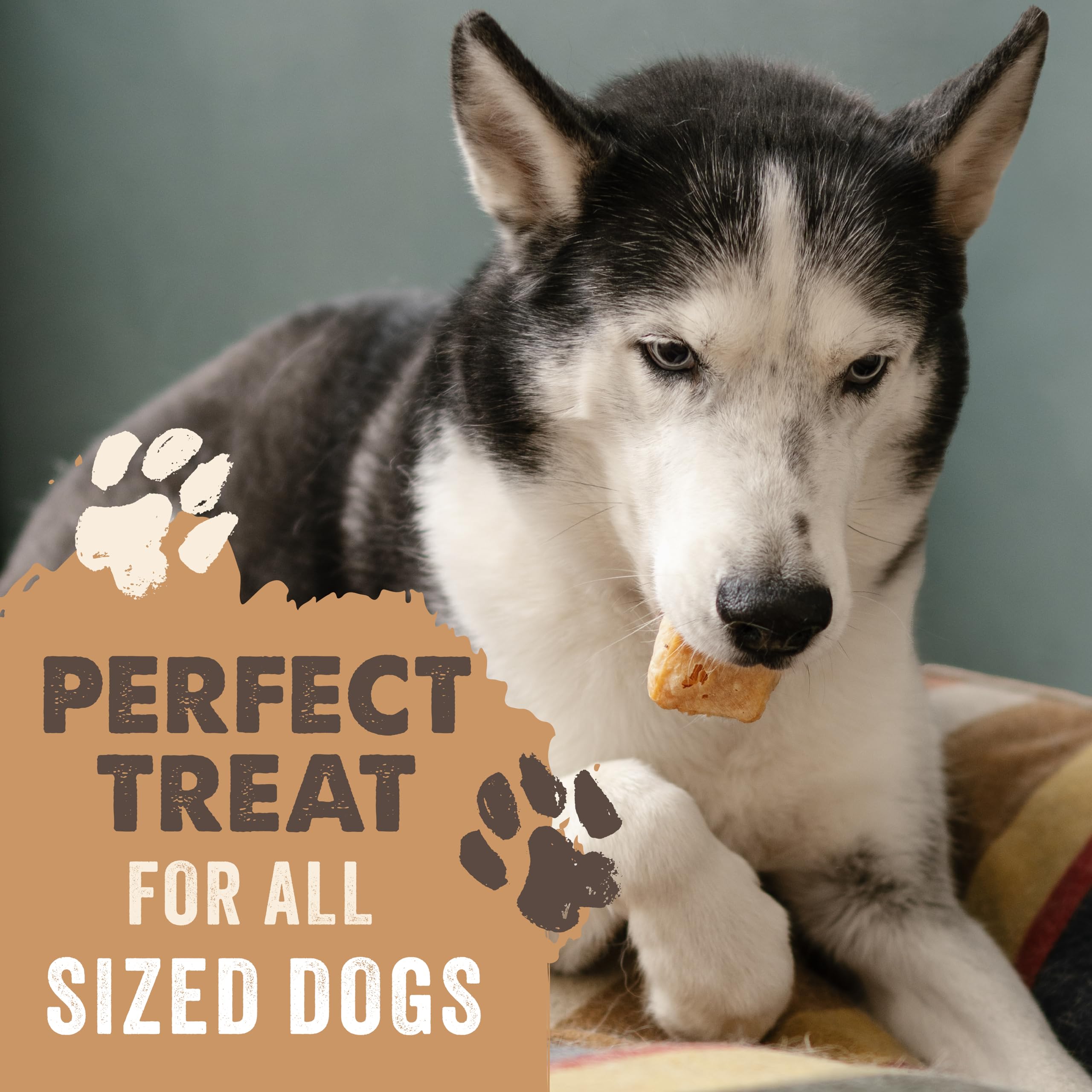 Mighty Paw Yak Cheese Puffs training treats reward for good behavior