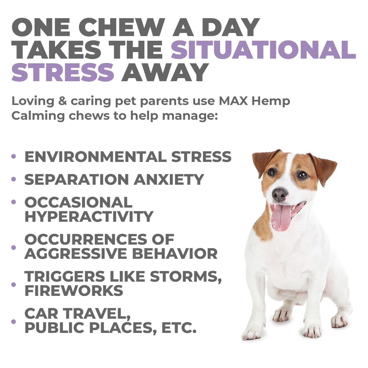 Mighty Petz MAX chews in dog bowl - convenient daily calming treat.