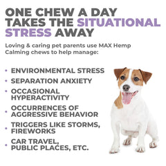 Mighty Petz MAX chews in dog bowl - convenient daily calming treat.