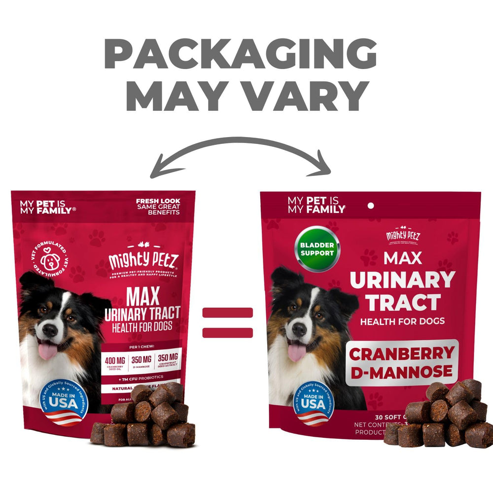 Mighty Petz MAX Cranberry-happy-dog-eating-chews photo illustrates dog-friendly taste.