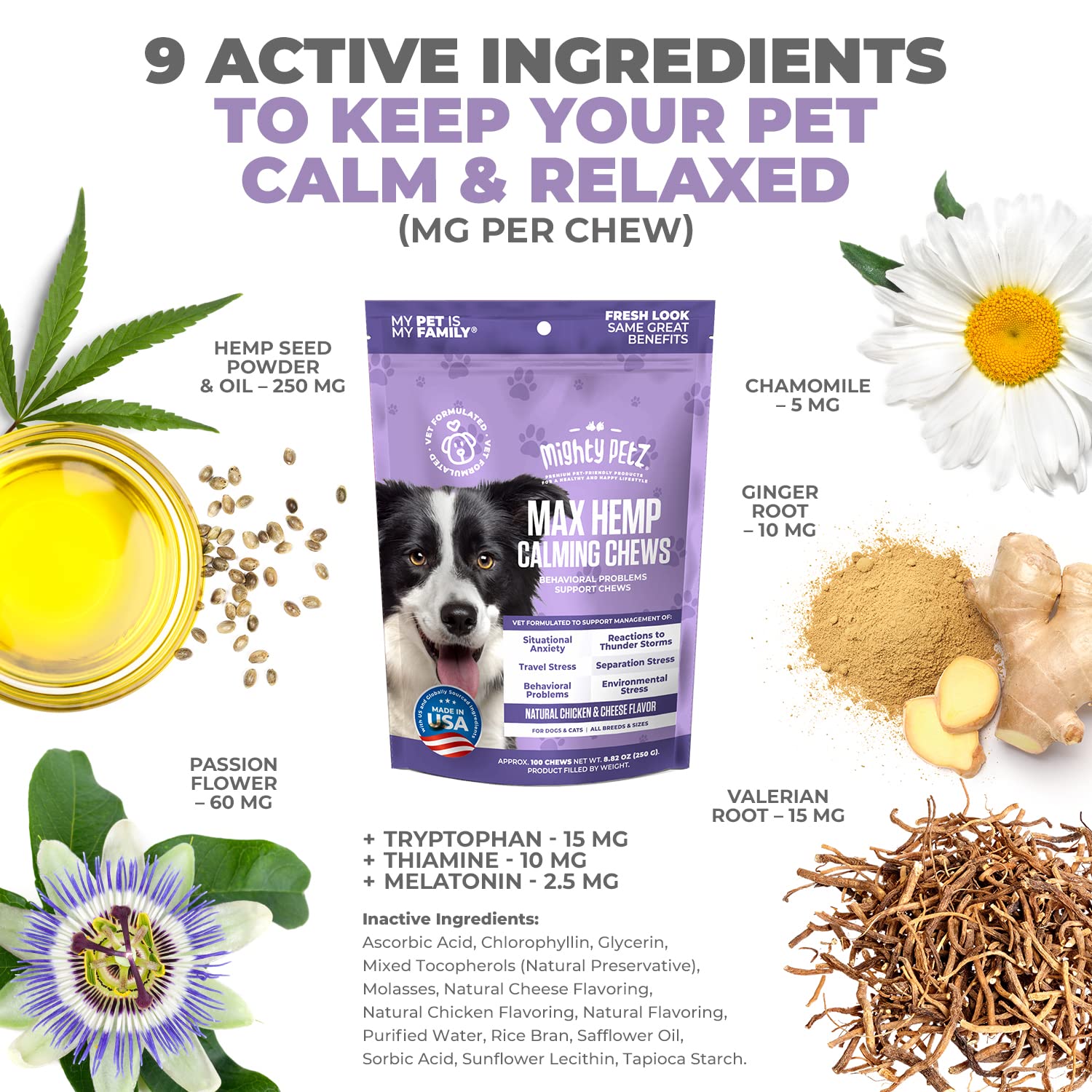Mighty Petz MAX dog enjoying chews - supports relaxed behavior after routines.