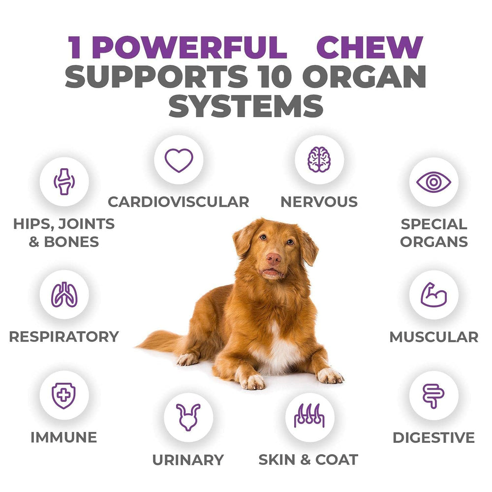 Mighty Petz MAX hip joint mobility detail promoting joint comfort.