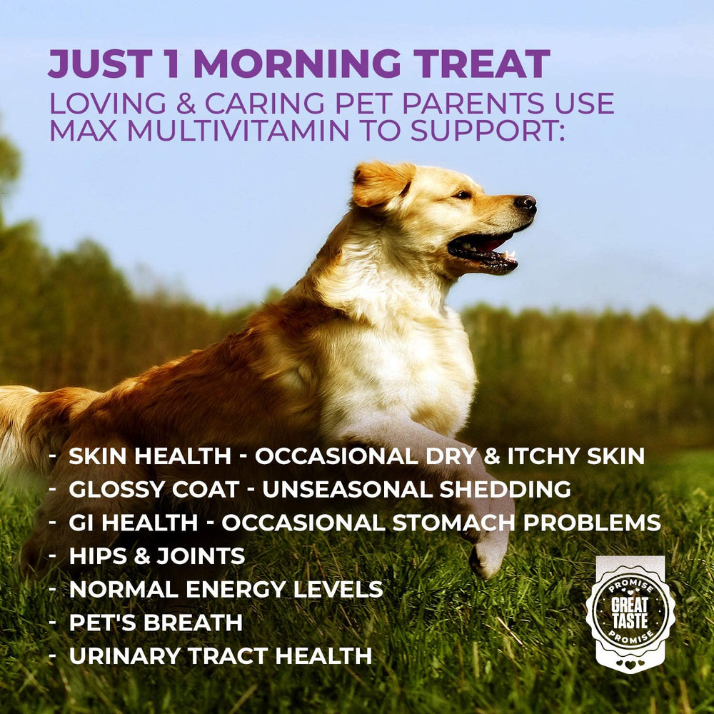 Mighty Petz MAX probiotic capsules closeup supporting gut health.