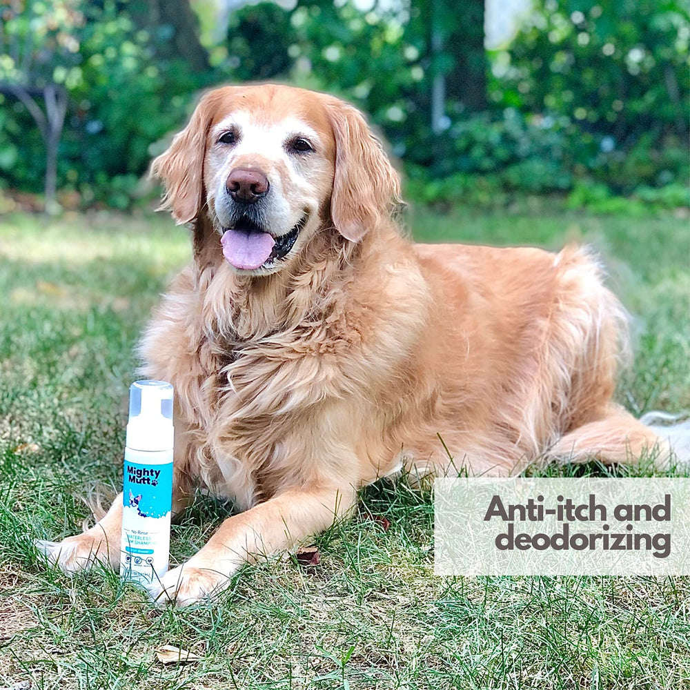 Mighty Mutt biodegradable packaging supports planet-friendly grooming.