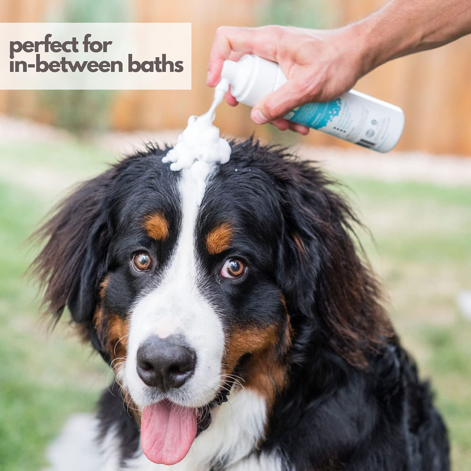Mighty Mutt deodorizing Fresh Breeze scent for odor control between baths.