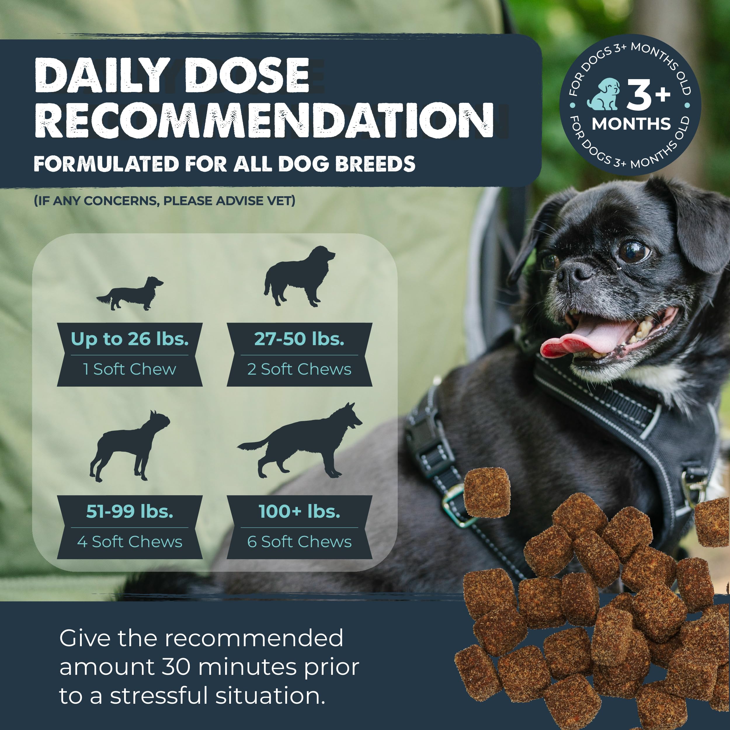 Bacon-flavored Mighty Paw calming chews entice dogs to accept supplements