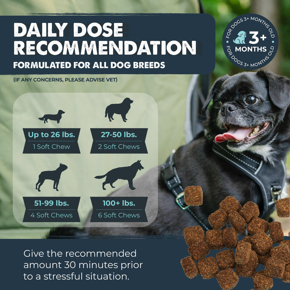 Bacon-flavored Mighty Paw calming chews entice dogs to accept supplements