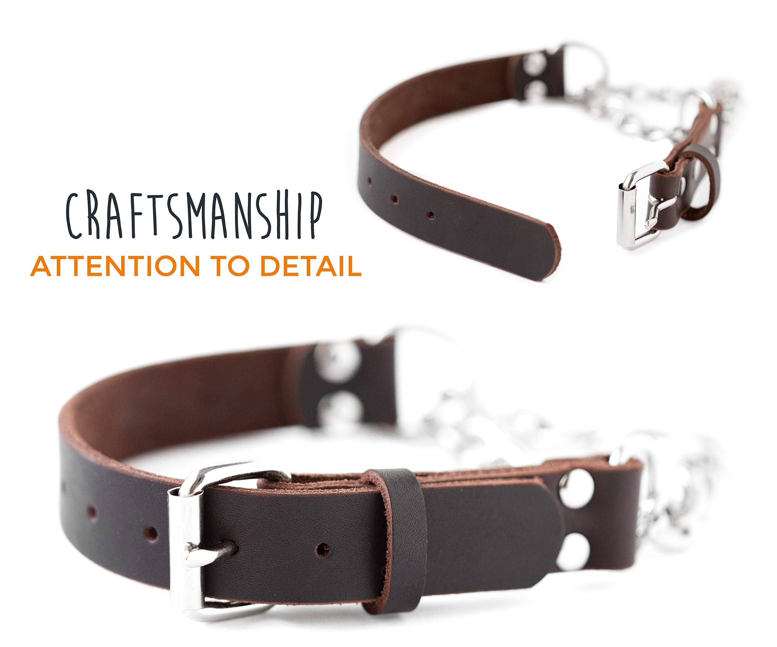 Mighty Paw durable leather and hardware closeup highlights long-lasting use.