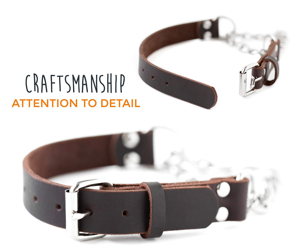 Mighty Paw durable leather and hardware closeup highlights long-lasting use.