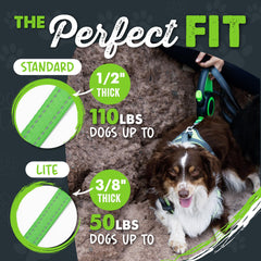 Mighty Paw leash-swivel-clip-tangle-free-design prevents tangles during active play.