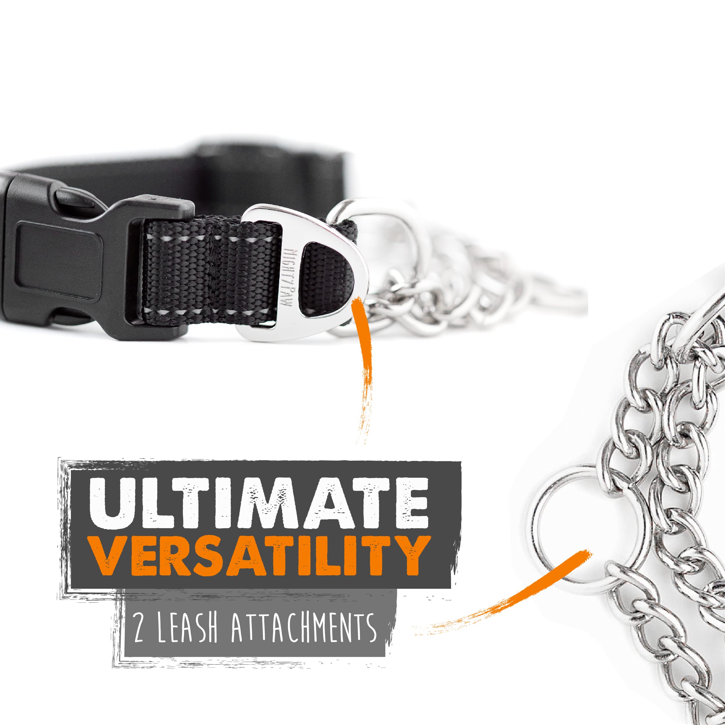 Mighty Paw two D-rings image signals versatile use as training or standard collar.