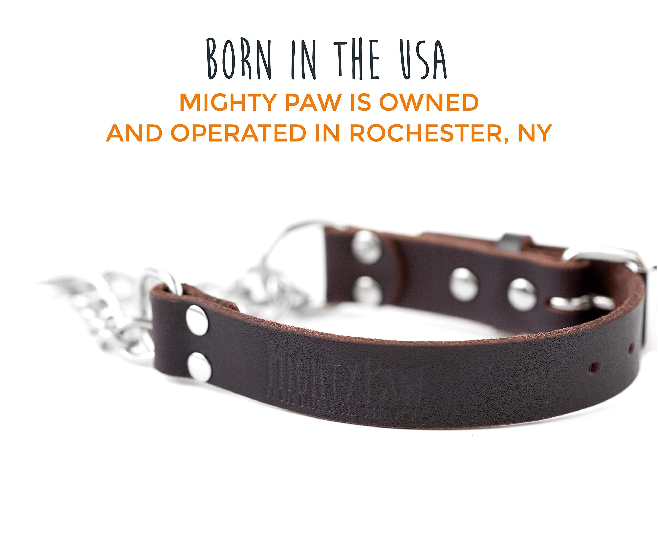 Mighty Paw no-pull design in action suggests improved leash manners during walks.
