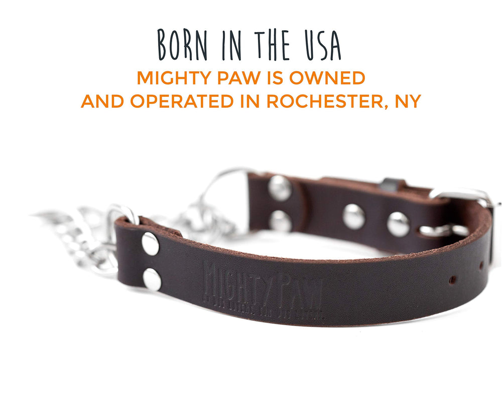 Mighty Paw no-pull design in action suggests improved leash manners during walks.