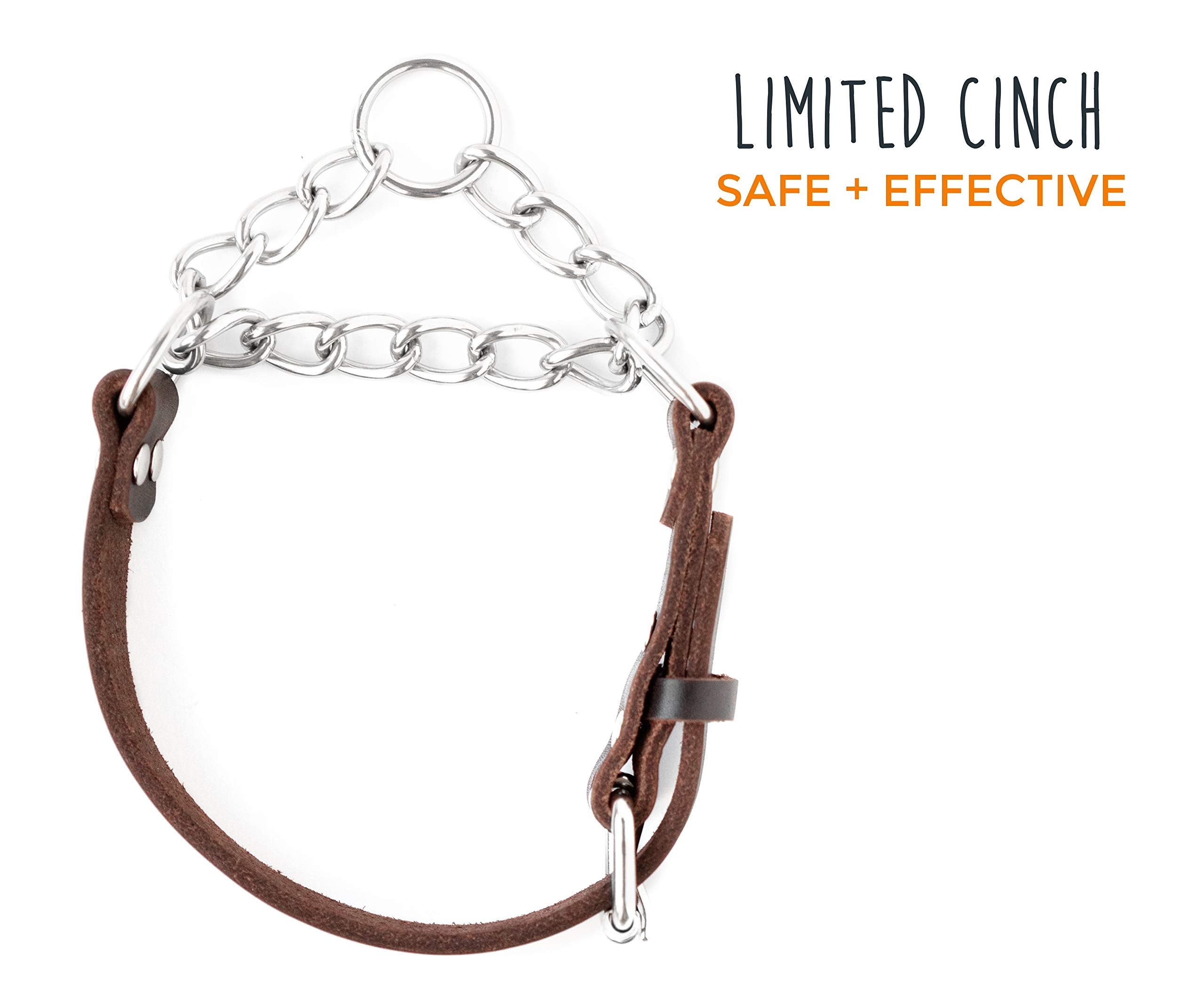 Mighty Paw martingale collar stainless chain highlights sturdy hardware for everyday training.