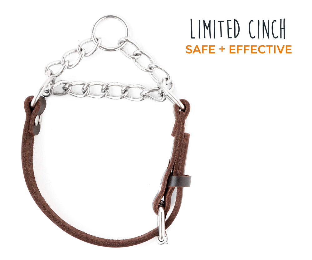 Mighty Paw martingale collar stainless chain highlights sturdy hardware for everyday training.