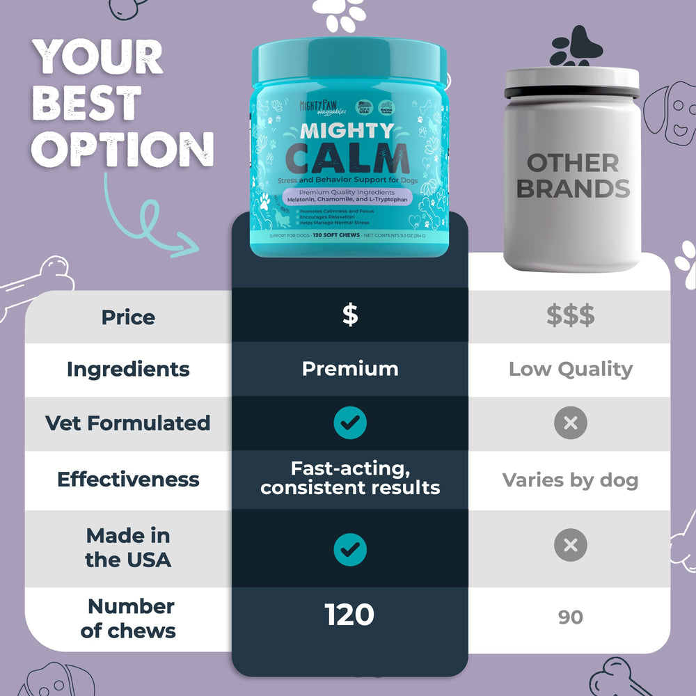 Mighty Paw melatonin dog supplement bottle ready for calming evening routines