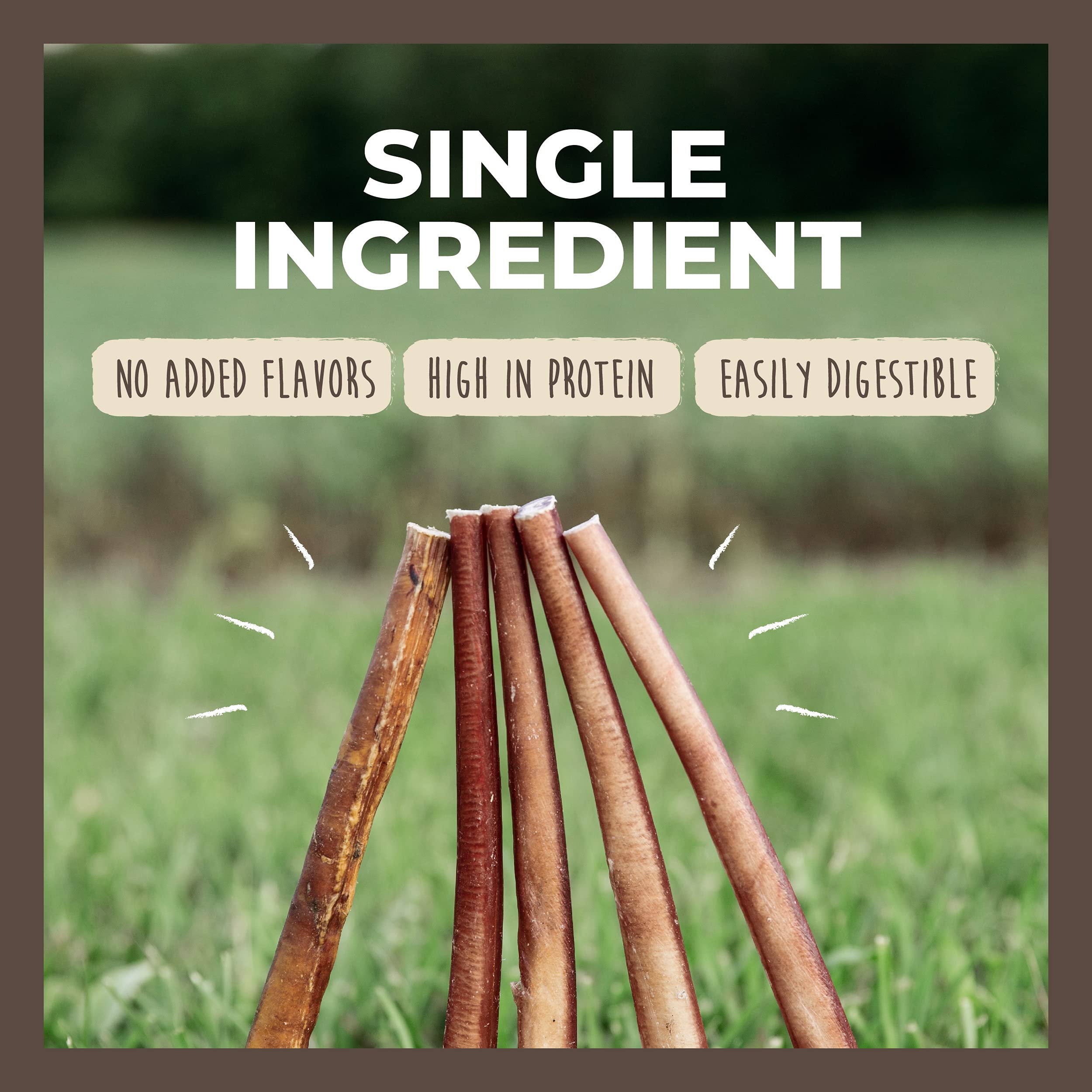 Mighty Paw Naturals Bully Sticks emphasize dental-friendly chewing action for pups.