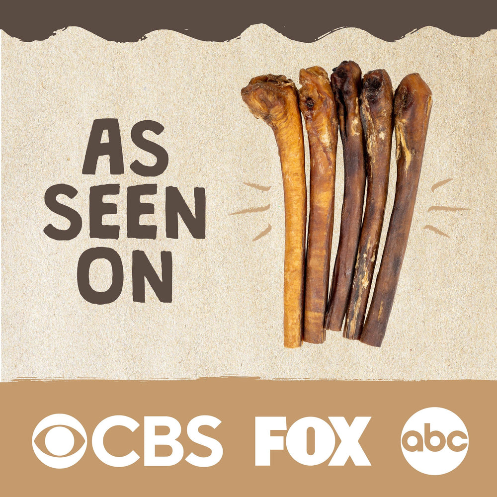 Dogs of different sizes share Mighty Paw Naturals Bully Sticks for versatile chews.