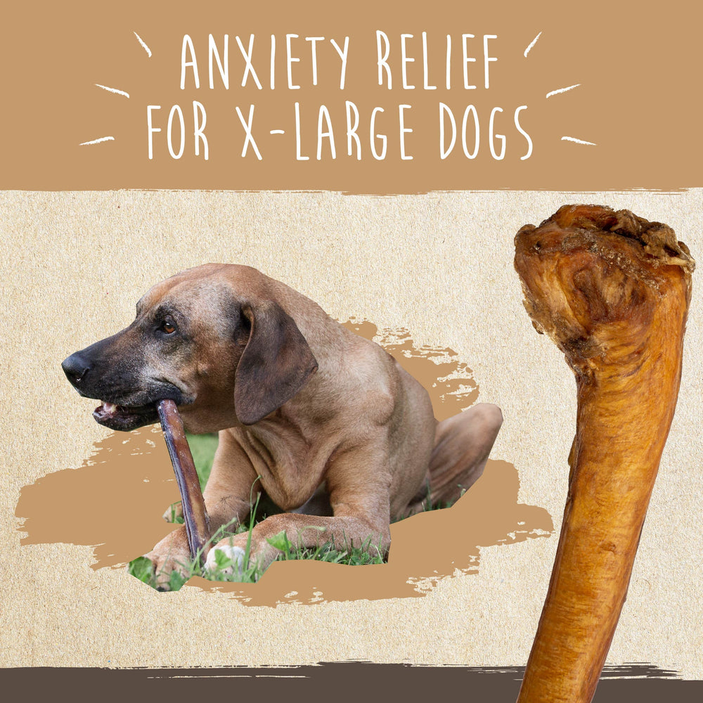 Mighty Paw Naturals Bully Sticks shown as grain-free and gluten-free dog treats.