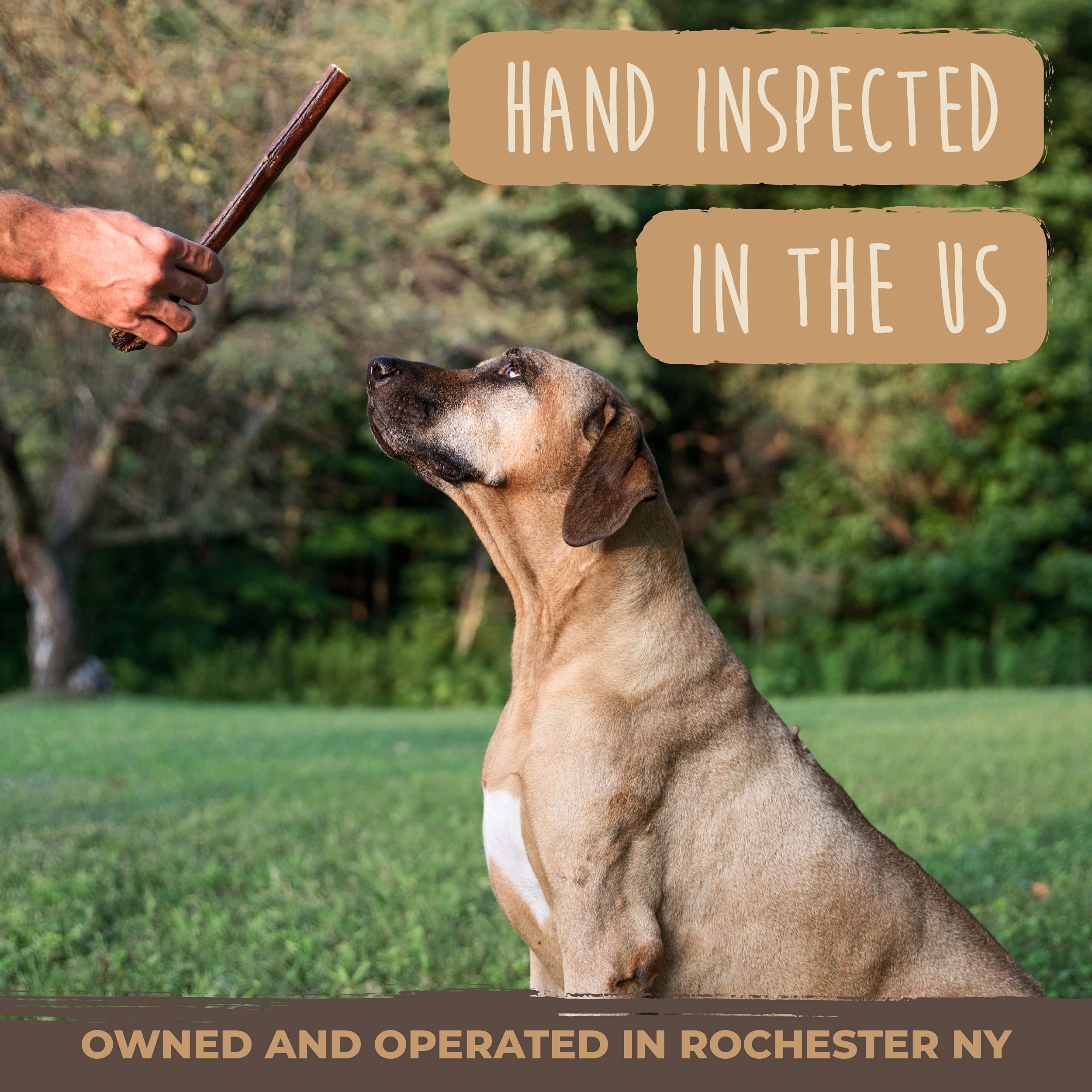 A long-lasting Mighty Paw Naturals Bully Stick keeps a busy pup engaged.