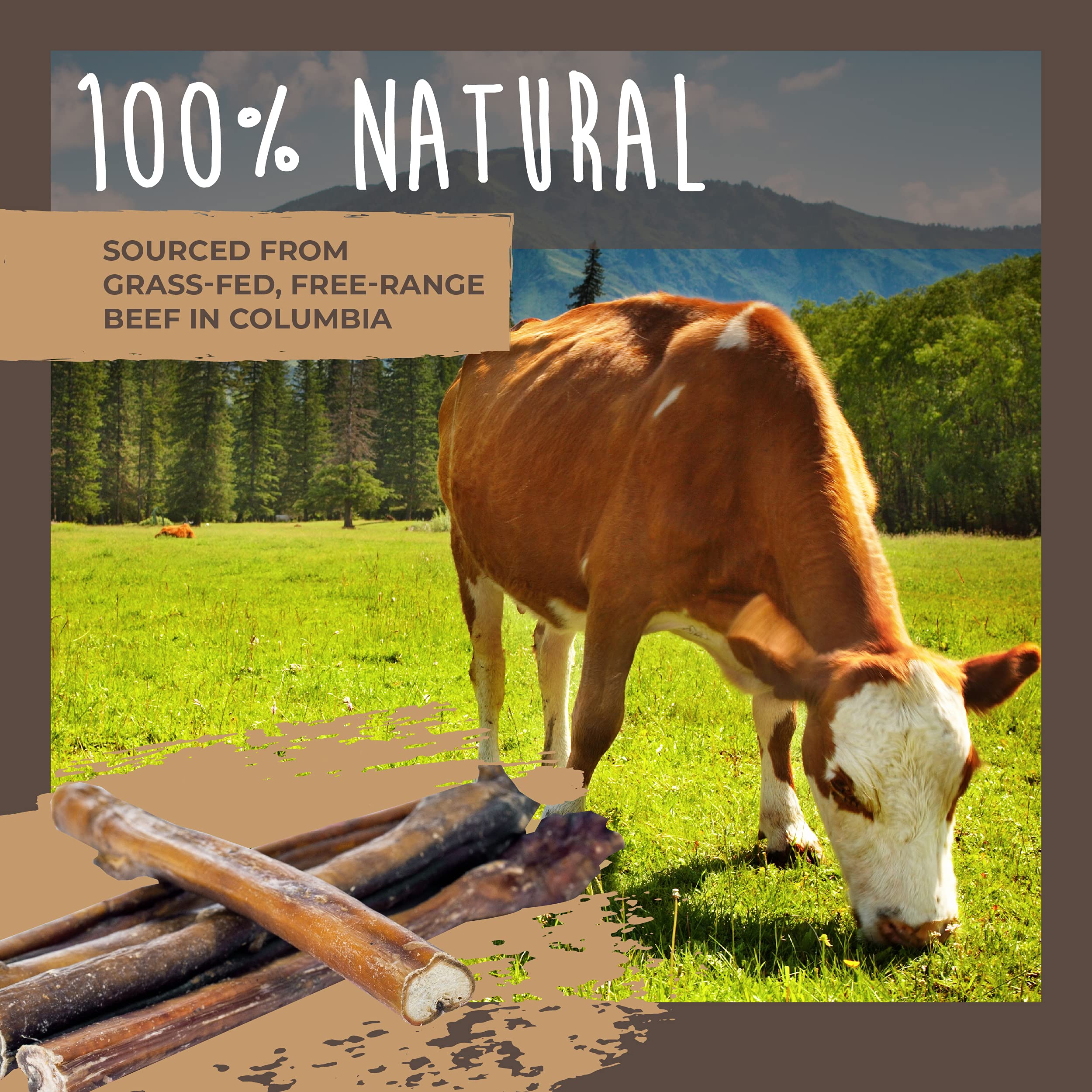 Close-up of Mighty Paw Naturals Bully Sticks illustrating single-ingredient beef chews.