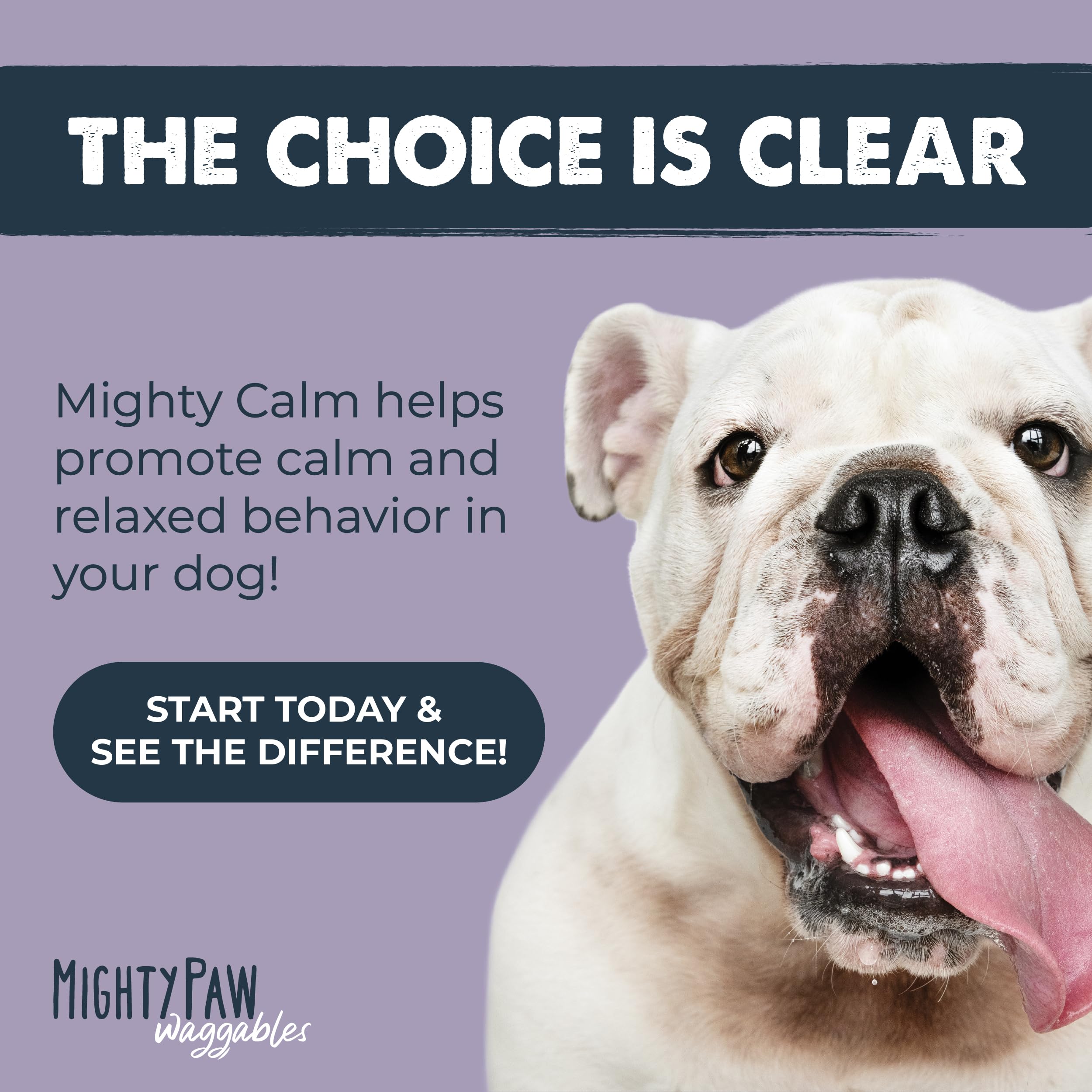 Mighty Paw Waggables calming treats in sealed tub for travel