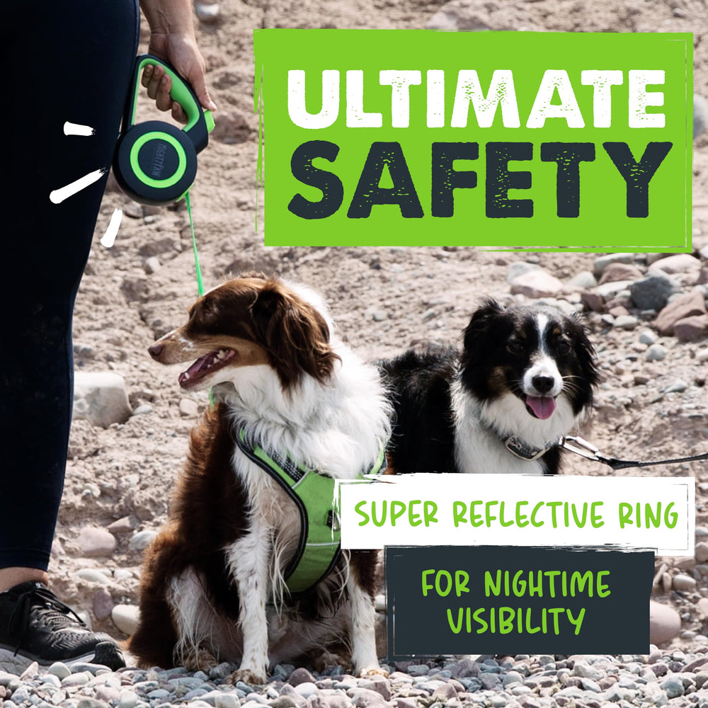 Mighty Paw USA-family-owned-brand highlights quality and pet-first design.