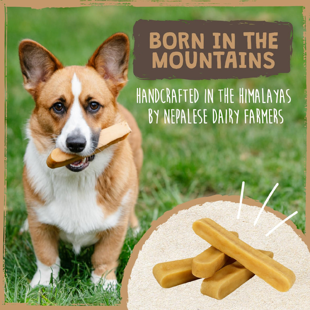 Mighty Paw Yak Chews safe chewing guide emphasizes supervised chewing.