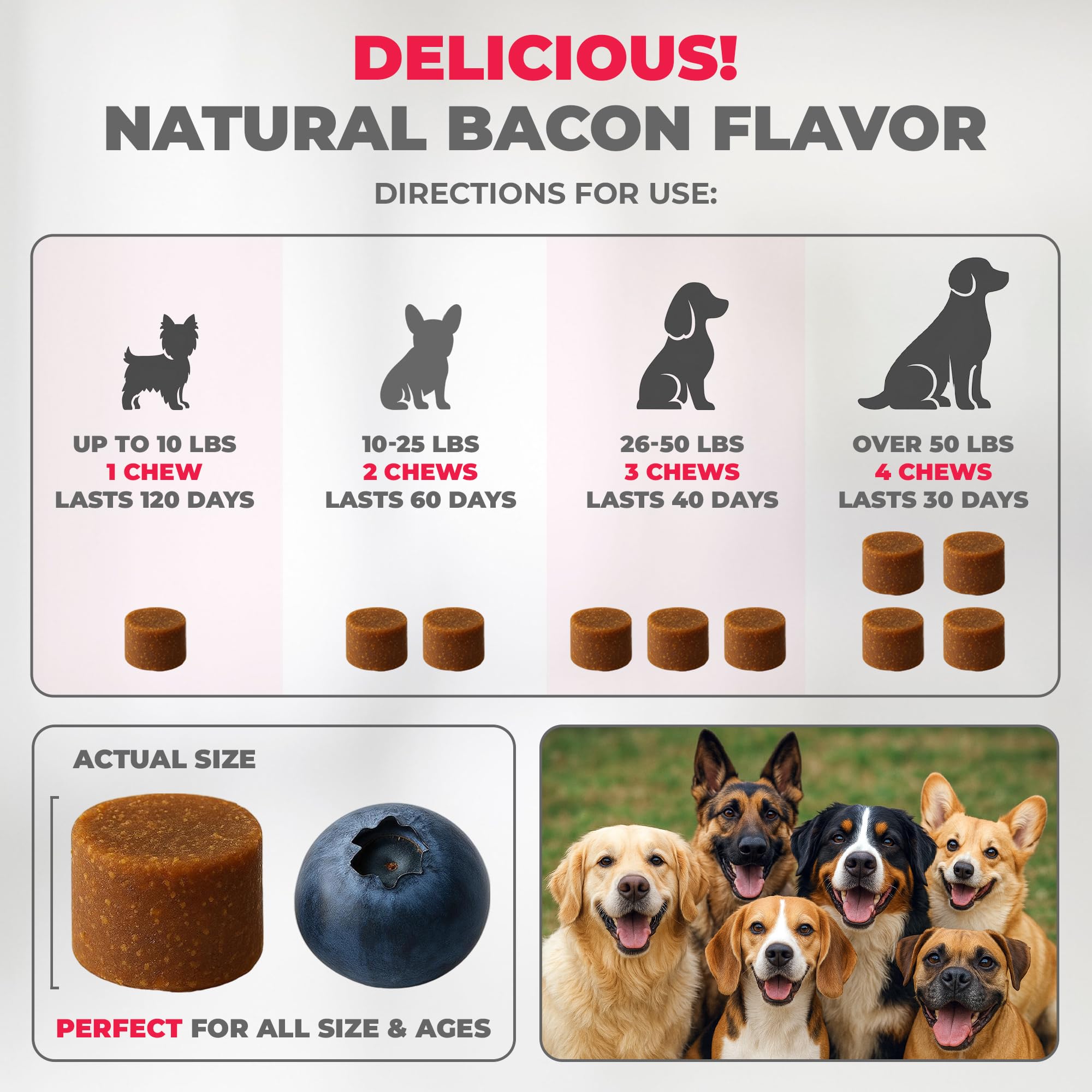 Mighty Petz MAX ingredients close-up features salmon oil for skin support benefits.
