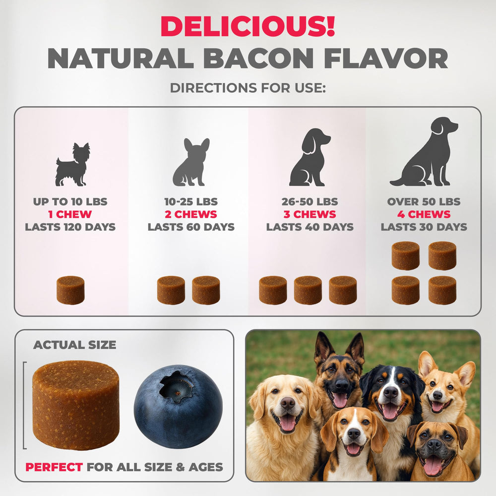 Mighty Petz MAX ingredients close-up features salmon oil for skin support benefits.