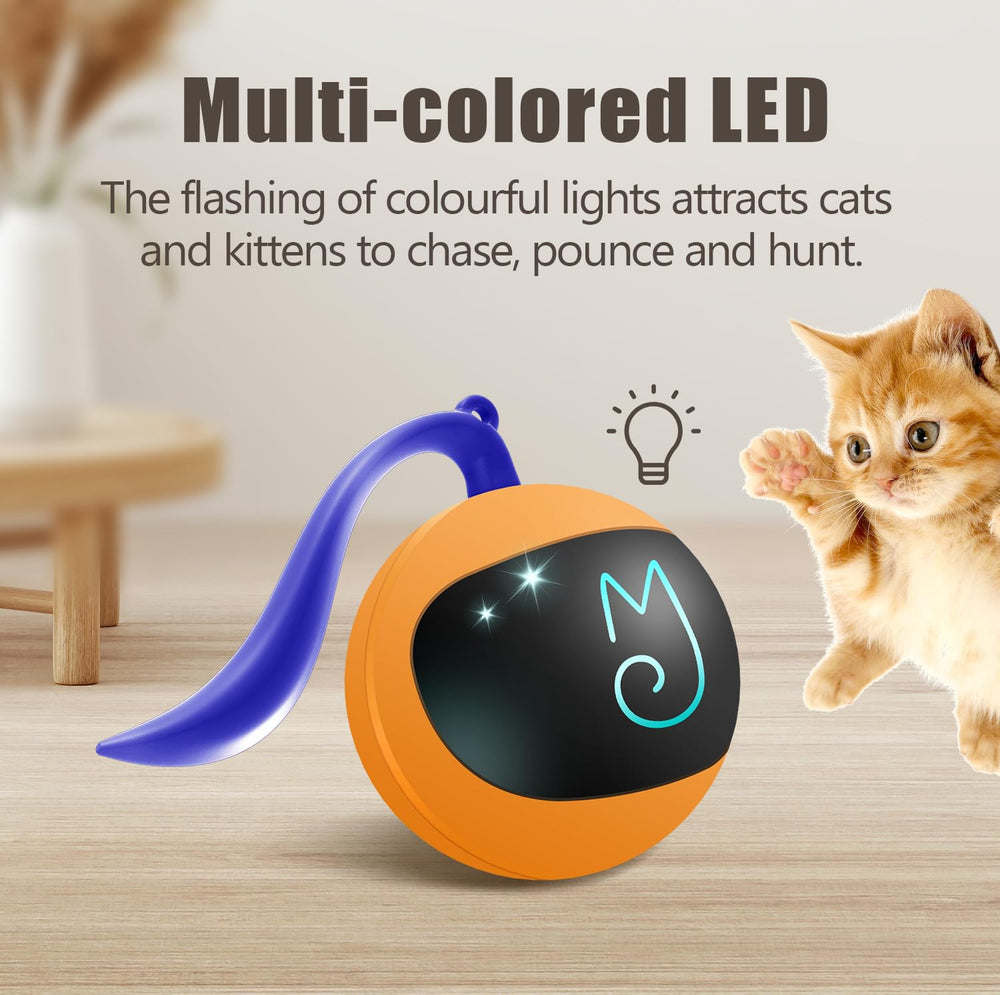 Migipaws-ball-inside-paper-bag creates mysterious hiding play