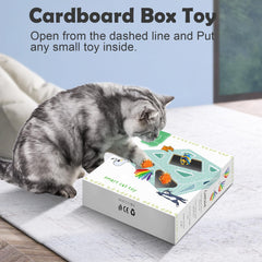 Migipaws Cardboard box interaction—DIY puzzle keeps paws busy with holes.
