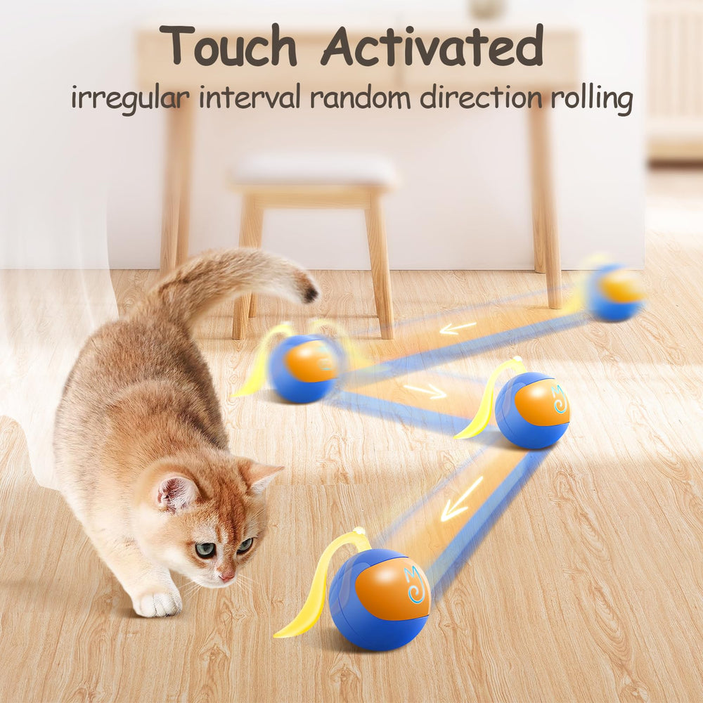 Migipaws cardboard box play option adds gentle vibrations for cats