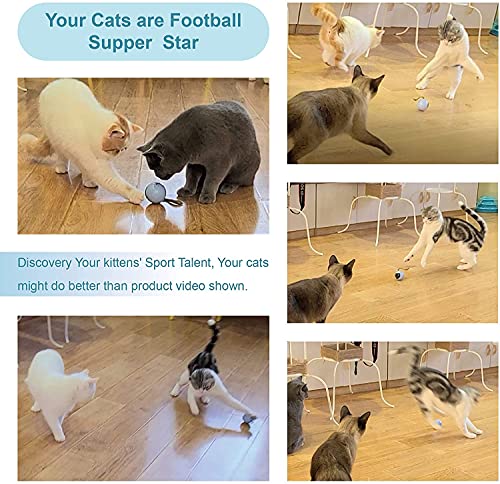 Migipaws cat ball lights up as it rolls to invite chasing behavior