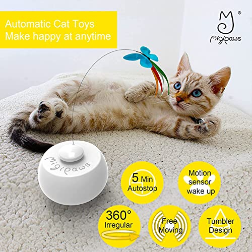 Migipaws interactive cat toy with feather movement excites chasing and pounce.