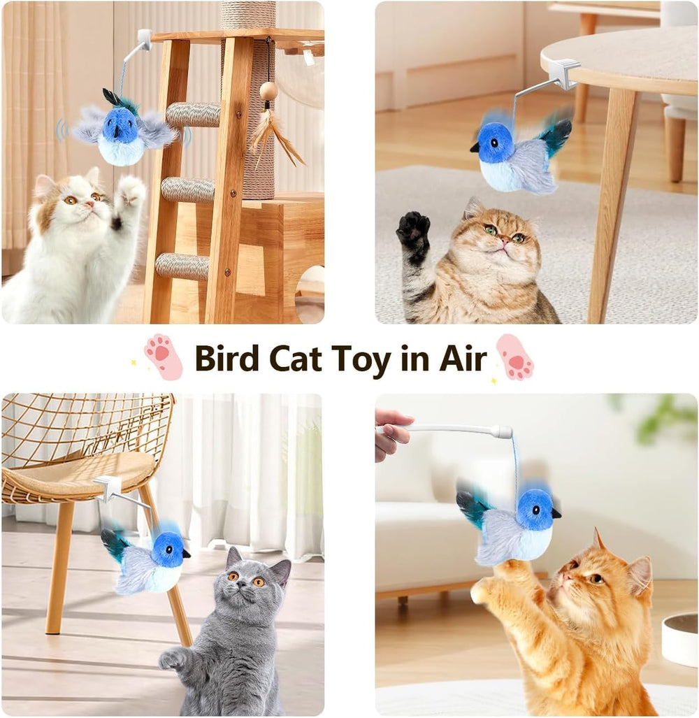 Migipaws flappy-bird-toy-kitten-playtime illustrates safe indoor exercise and entertainment.