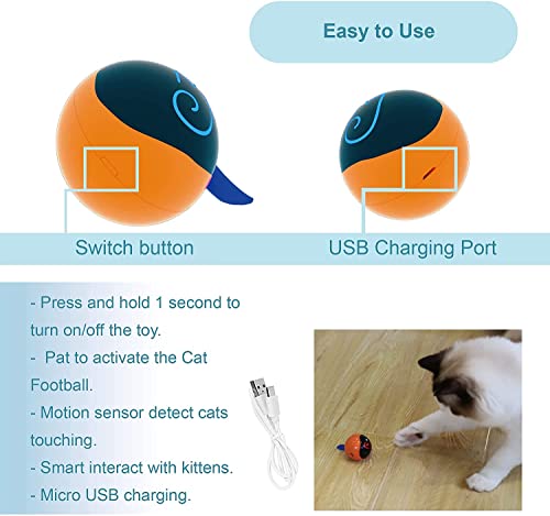 Migipaws fluffy-tail-attachment shown for interactive fun